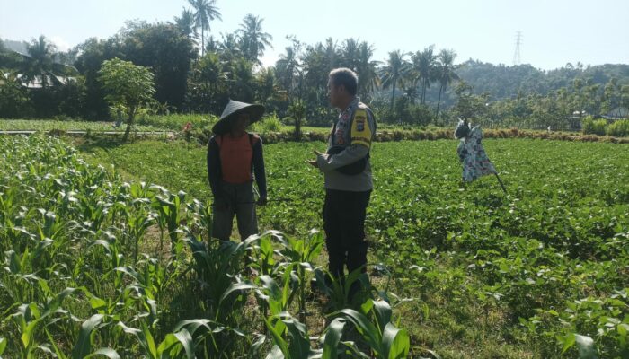 Dorong Ketahanan Pangan, Bhabinkamtibmas Sandik Edukasi Pemanfaatan Lahan Kosong