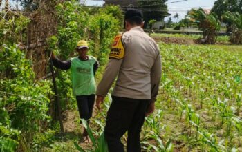Polsek Labuapi Dorong Ketahanan Pangan Lewat Pasar Murah dan Edukasi Petani