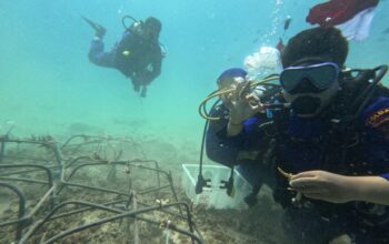 Bersih Pantai hingga penanaman terumbu karang di Dasar Laut, Cara Unik Polairud NTB Rayakan Kemerdekaan