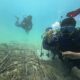 Bersih Pantai hingga penanaman terumbu karang di Dasar Laut, Cara Unik Polairud NTB Rayakan Kemerdekaan