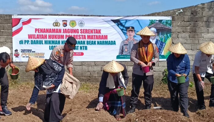 Dukung Ketahanan Pangan Nasional: Kapolresta Mataram Pimpin Penanaman Jagung di Ponpes Darul Hikmah