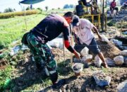 Dorong Ketahanan Pangan: TMMD ke-125 Kodim Sumbawa Bangun Rumah Mesin Sumur Bor di Kalabeso