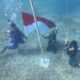 Merah Putih Berkibar di Laut Gili Petagan, Warga Lombok Timur Rayakan HUT RI dengan Cara Unik