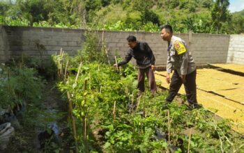 Inisiatif Humanis Polri di Sekotong Tengah, Edukasi Pangan dari Pekarangan Rumah