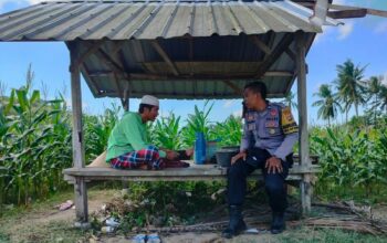 Jalin Kedekatan, Bhabinkamtibmas Desa Eyat Mayang Sambangi Petani Jagung Dukung Ketahanan Pangan