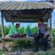 Sinergi Polri dan Petani Eyat Mayang, Wujud Nyata Ketahanan Pangan di Lombok Barat