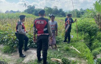 Polisi Lakukan Patroli Tanam Jagung di Dusun Kelebut untuk Dukung Swasembada Pangan
