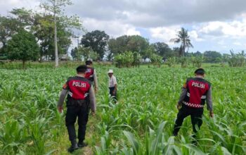 Polres Lombok Barat Dampingi Petani Gerung Utara, Dukung Swasembada Pangan