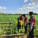 Polres Lombok Barat Dukung Petani Jagung di Desa Dasan Geres