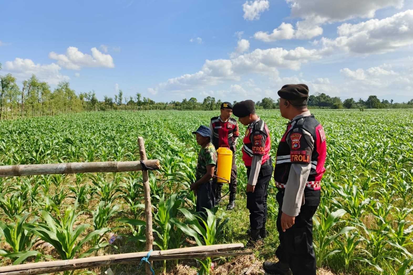 Polres Lombok Barat Dukung Petani Jagung di Desa Dasan Geres