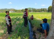 Polisi Kawal Produksi Jagung Petani Tempos, Gerung