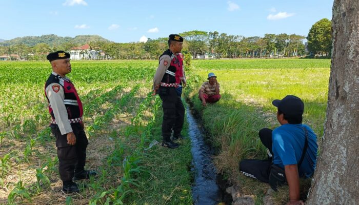 Polisi Kawal Produksi Jagung Petani Tempos, Gerung