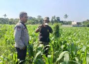 Polsek Batulayar Ajak Masyarakat Perempung Maksimalkan Lahan untuk Ketahanan Pangan