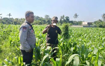 Polsek Batulayar Ajak Masyarakat Perempung Maksimalkan Lahan untuk Ketahanan Pangan