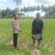 Polsek Gerung Perkuat Ketahanan Pangan Lewat Monitoring Pertanian Desa Banyu Urip