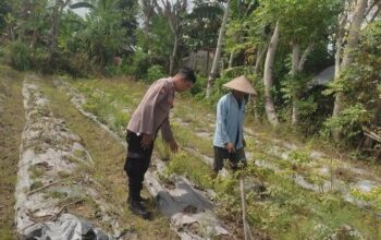 Polsek Labuapi Ajak Warga Desa Kuranji Wujudkan Kemandirian Pangan Lewat Pertanian Pekarangan
