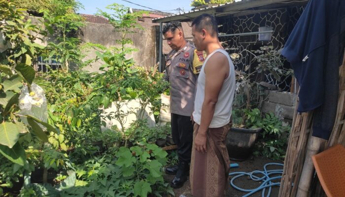 Kolaborasi Desa Kuranji dan Polisi Dukung Kemandirian Pangan