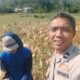 Sinergi Polri dan Petani Jagung di Lembar, Lombok Barat, Dorong Ketahanan Pangan Nasional