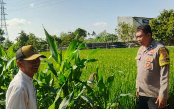 Polsek Labuapi Ajak Petani Telagawaru Maksimalkan Lahan Rumah