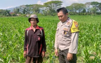 Sinergi Polisi dan Petani di Desa Jagaraga untuk Wujudkan Kemandirian Pangan