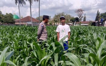 Bhabinkamtibmas Kuripan Ajak Warga Dusun Due Pelet Wujudkan Ketahanan Pangan