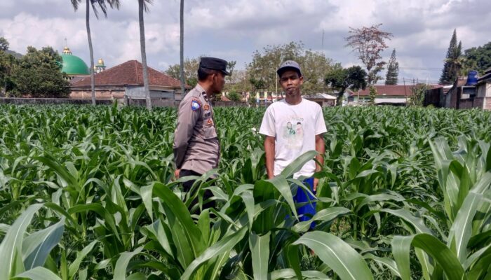 Sinergi Bhabinkamtibmas dan Kelompok Tani BERIUK TINJAL di Due Pelet untuk Ketahanan Pangan