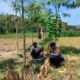 Polri Aktif Dampingi Petani Jagung di Dusun Jelateng Baru, Lombok Barat