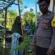 Sinergi Polri dan Masyarakat di Senggigi: Ketahanan Pangan Dimulai dari Rumah