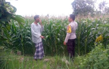 Polri Hadir Bantu Petani Jagaraga Tingkatkan Produktivitas Lahan Pertanian