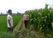 Polsek Kuripan Galakkan Program Ketahanan Pangan di Dusun Adeng, Lombok Barat