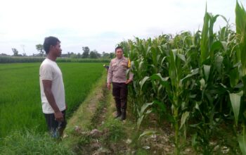 Polsek Kuripan Galakkan Program Ketahanan Pangan di Dusun Adeng, Lombok Barat