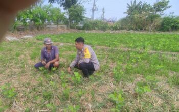 Sinergi Polri dan Warga Kuranji Dorong Desa Mandiri Pangan