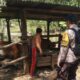 Sinergi Polsek Batulayar dan Warga Batulayar Barat Dukung Program Ketahanan Pangan