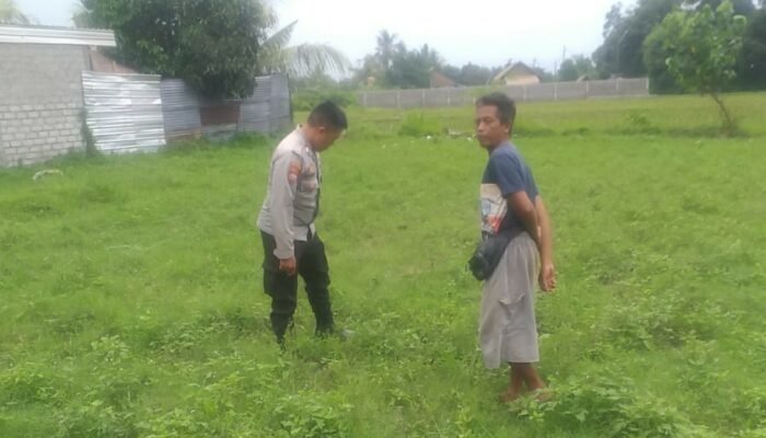 Sinergi Polisi dan Warga Jagaraga, Lombok Barat: Wujudkan Kemandirian Pangan dari Pekarangan Rumah