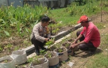 Sinergi Polsek Labuapi dan Warga Mapak Reong Dorong Pemanfaatan Pekarangan Produktif