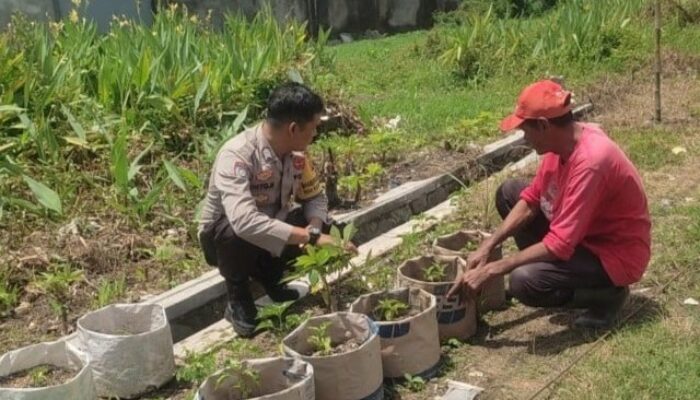 Polri Dukung Program Ketahanan Pangan Lewat Edukasi Pertanian di Desa Kuranji