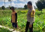 Kepolisian Kediri Bina Petani Jagung Gelogor, Perkuat Ekonomi dan Pangan Lokal
