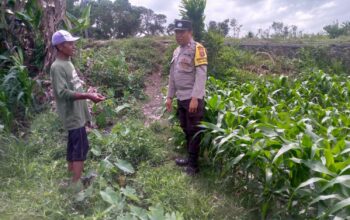 Ketahanan Pangan Dimulai dari Desa: Inisiatif Bhabinkamtibmas Jagaraga