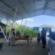 Polisi Hadir di Ekowisata Mangrove Sekotong, Jaga Keamanan Sambil Jalin Komunikasi