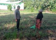 Kunjungan Humanis Bhabinkamtibmas di Kuranji, Pekarangan Jadi Sumber Pangan