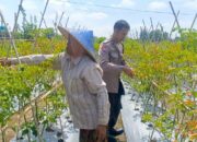 Perkuat Kamtibmas dan Pangan, Bhabinkamtibmas Perampuan Sambangi Warga Karang Bayan