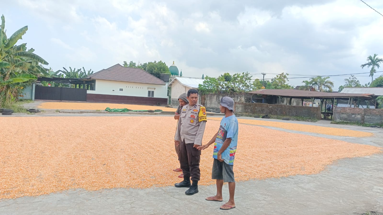 Sinergi Polri dan Pengusaha Lokal Jaga Pasokan Jagung di Lombok Barat