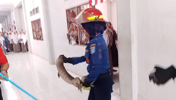 Sigap dan Profesional: Srikandi Damkar Lombok Barat Berhasil Evakuasi Biawak dari Asrama Putri Ponpes Nurul Hakim