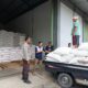 Sinergi Petani Beriuk Tinjal dan Polri: 3,4 Ton Jagung Diserap Bulog di Lombok Barat