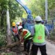 Negara Hadir! Pemerintah Targetkan 1.285 Desa Teraliri Listrik Sepenuhnya pada Tahun 2025
