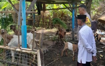 Ketahanan Pangan Desa Senggigi Didukung Inisiatif Bhabinkamtibmas Polsek Batulayar