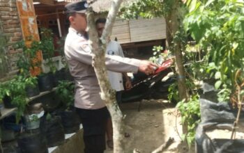 Sinergi Polri dan Masyarakat Sekotong Perkuat Ketahanan Pangan dan Kamtibmas