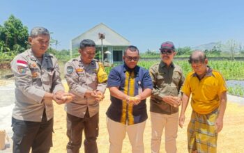 Pendampingan Polri di Gerung: Jagung Desa Beleka Lolos Uji Kadar Air Ideal