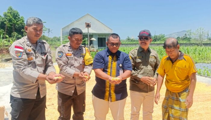 Pendampingan Polri di Gerung: Jagung Desa Beleka Lolos Uji Kadar Air Ideal