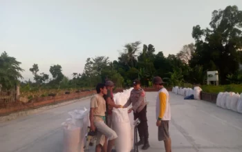 Jagung Petani Gerung Lolos Uji Kualitas, Siap Diserap Bulog NTB